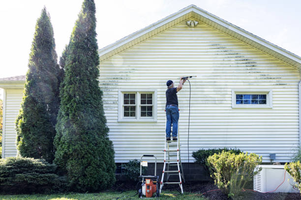 Best Sidewalk and Walkway Cleaning  in Fosston, MN